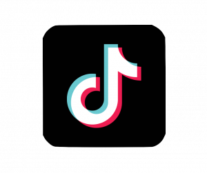 TIKTOK - MANAGER